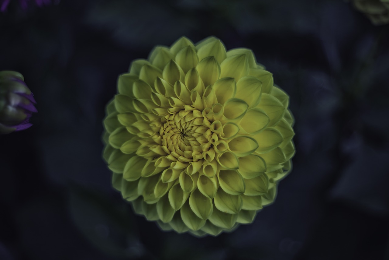 非梵 第11页