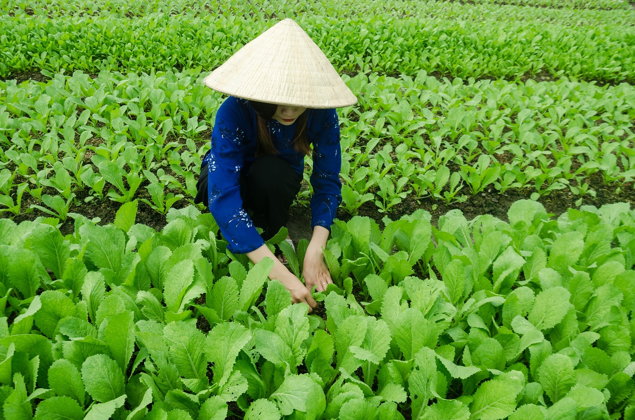 鹂儿 第12页
